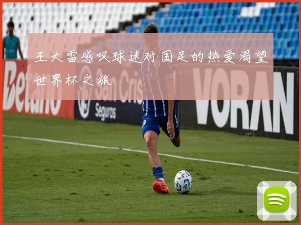 王大雷感叹球迷对国足的热爱渴望世界杯之旅